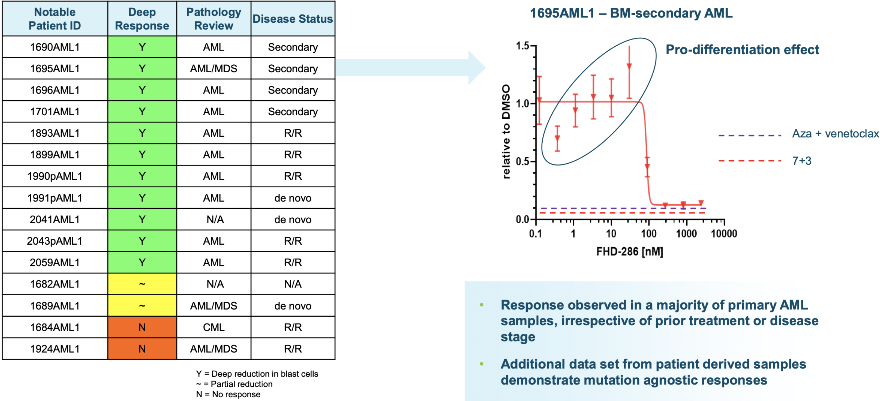 FHD-286 pre-clinical data in AML 2