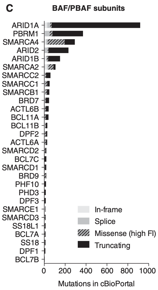 Frequency of BAF mutations in various tumor types