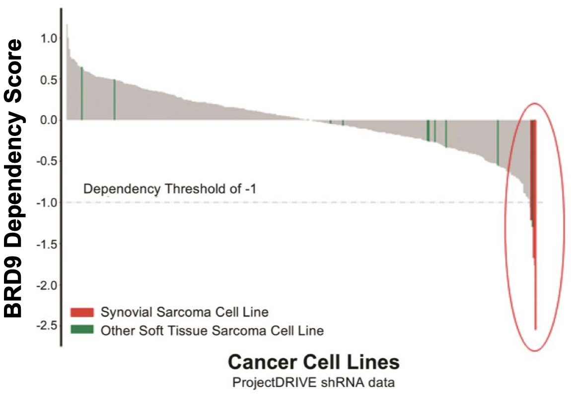 Genomic screening showing dependency of synovial sarcoma cells on BRD9
